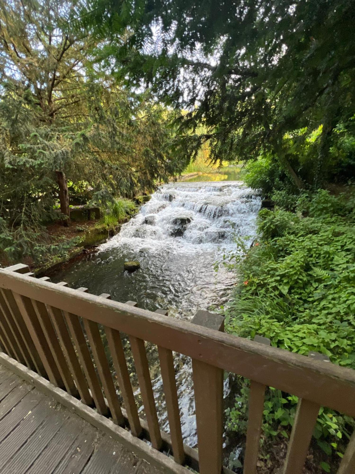 Appartamento Cosy Private Flat In London, Free Parking On Premise Carshalton Esterno foto